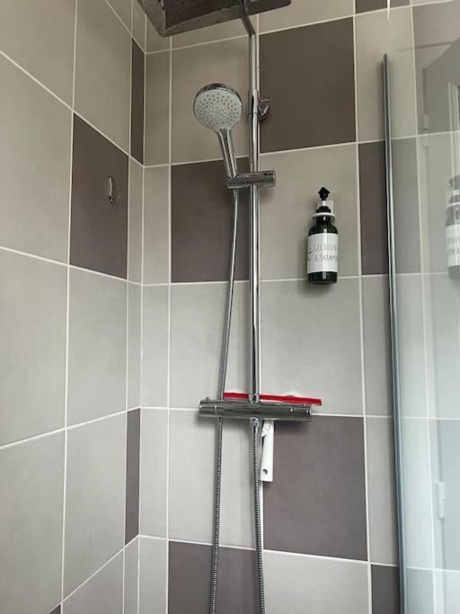 Appartement Proche Des Facs Lebon Клермон-Ферран Экстерьер фото